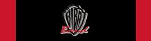 Biba Band Online